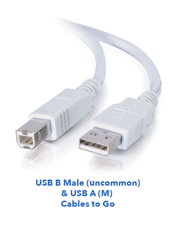 Usb C And Usb A Differences Explained Shutterbug